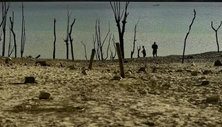 जलवायु सुरक्षा सूची में भारत की रैकिंग सुधरी, आठवें नंबर पर