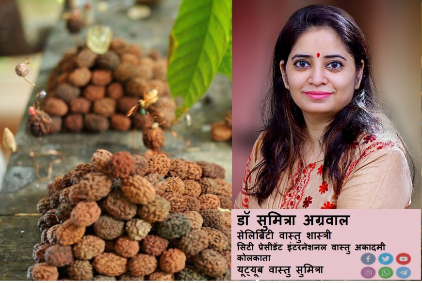 रूद्राक्ष क्या शिव का रूप है जानते है वास्तु शास्त्री डॉ सुमित्रा जी से - रूद्राक्ष भाग १ 