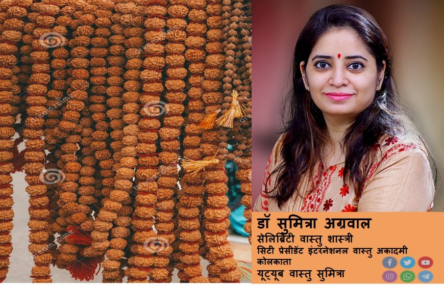 रुद्राक्ष और स्वास्थ - जानते है डॉ सुमित्रा जी से