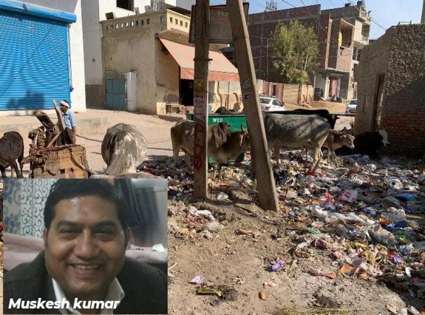 আবর্জনার স্তূপে দিল্লি
