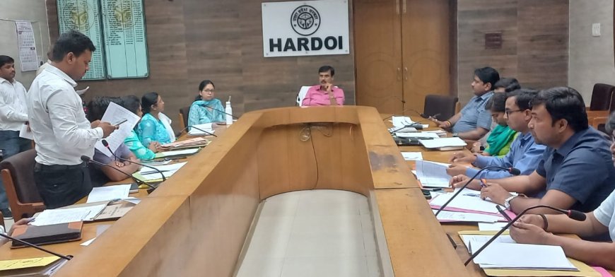 कलेक्ट्रेट सभागार में स्थानीय निकाय की कार्ययोजना की बैठक सम्पन्न