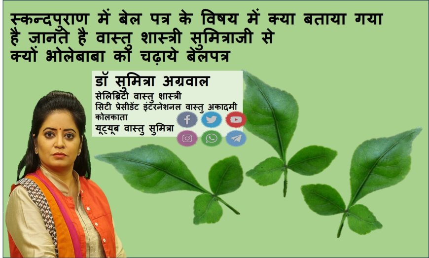 स्कन्दपुराण में बेल पत्र के विषय में क्या बताया गया है जानते है वास्तु शास्त्री सुमित्रा से क्यों भोलेबाबा को चढ़ाये बेलपत्र