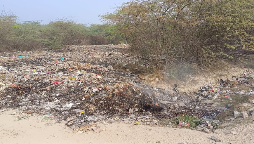 ठोस कचरा प्रबंधन व एमआरएफ सेंटर की कमी से कछौना कस्बे से निकलने वाले कूड़े का निस्तारण नहीं