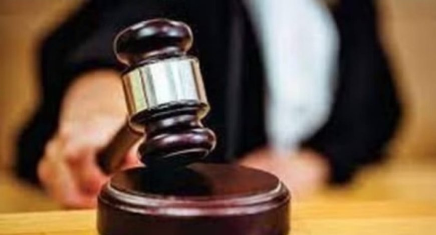 कलेक्टर का आदेश तहसीलदार नहीं मान रहे, हाई कोर्ट ने किया तलब, खदान से अतिक्रमण हटाने का मामला