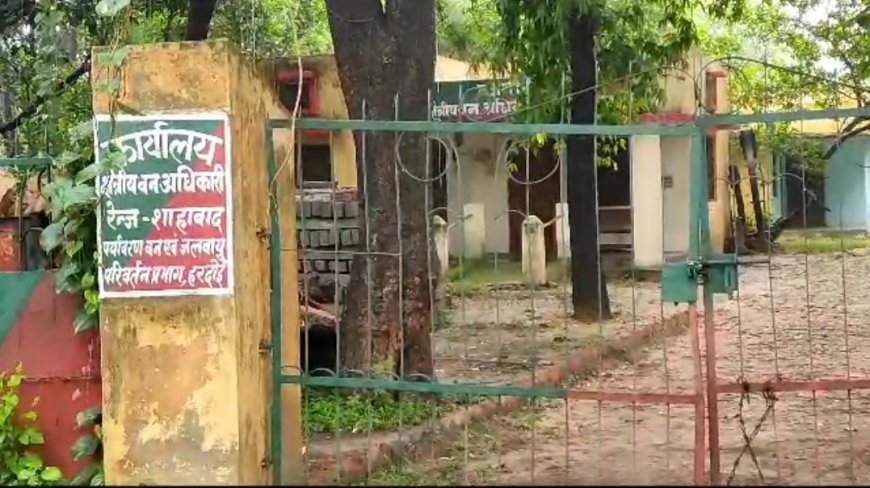 परमिट जारी न करने पर आग बबूला हुआ ठेकेदार, रेंजर पर ठेकेदार ने लगाया आरोप