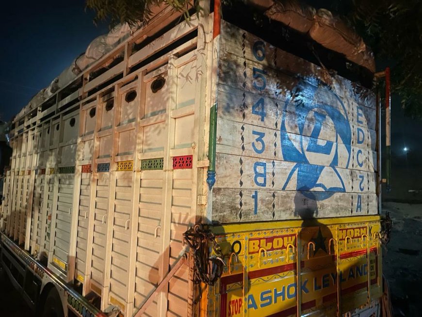 पशु तस्करी करते ट्रक को पकडा, 45 गौवंश कराये आजाद