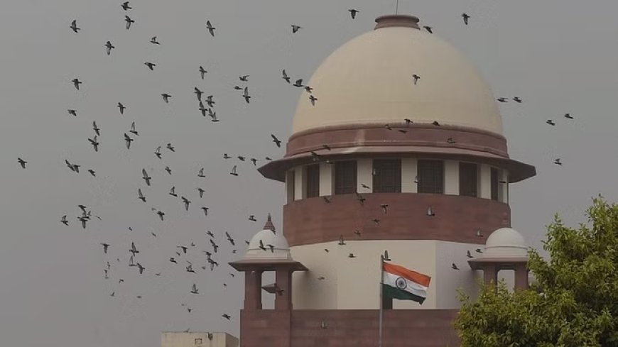 असम में फर्जी मुठभेड़ मामलों की होगी जांच, सुप्रीम कोर्ट का मानवाधिकार आयोग को निर्देश