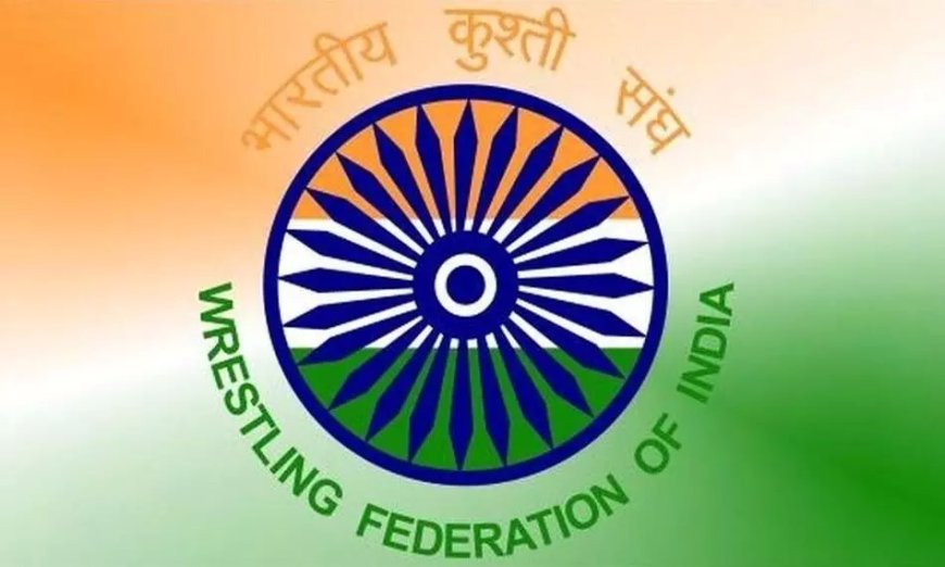 डब्ल्यूएफआई एथलीट पैनल के लिए संपन्न हुए चुनाव