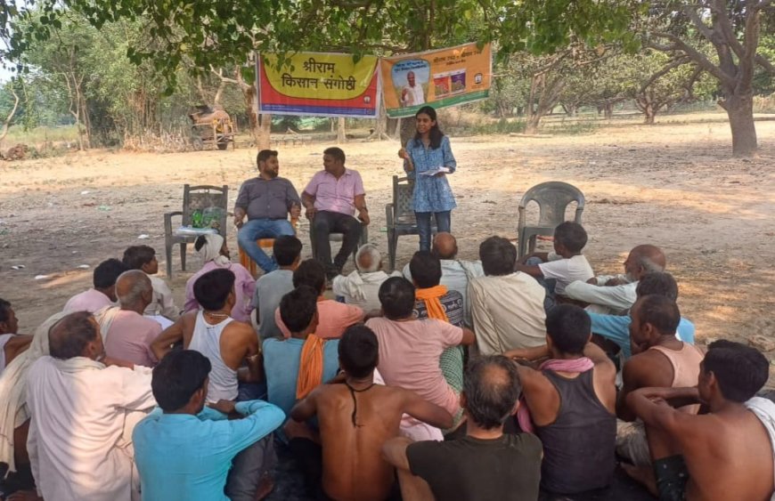 खरपतवारों का नियंत्रण करना जरूरी : गुंजन सिंह