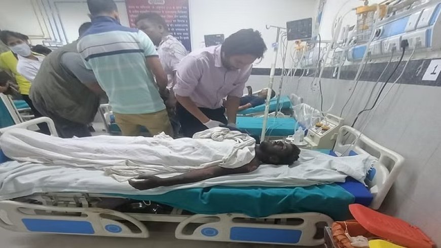 अल्मोड़ा में जानलेवा हुई जंगल की आग, वन विभाग के चार कर्मचारियों की जिंदा जलकर मौत