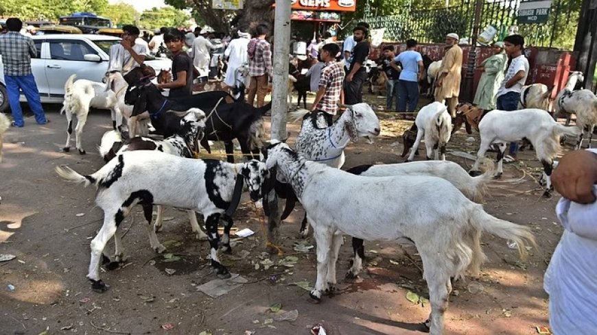 ईद-उल अजहा आज, गुलजार हैं बाजार