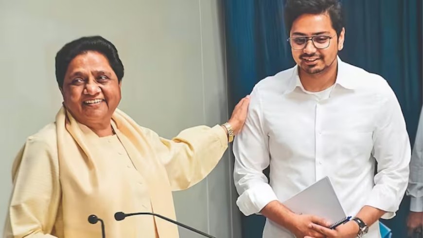 यूपी के सियासी अखाड़े में नहीं... यहां उतरेंगे भतीजे आनंद, मायावती ने इसलिए दिया एक और मौका