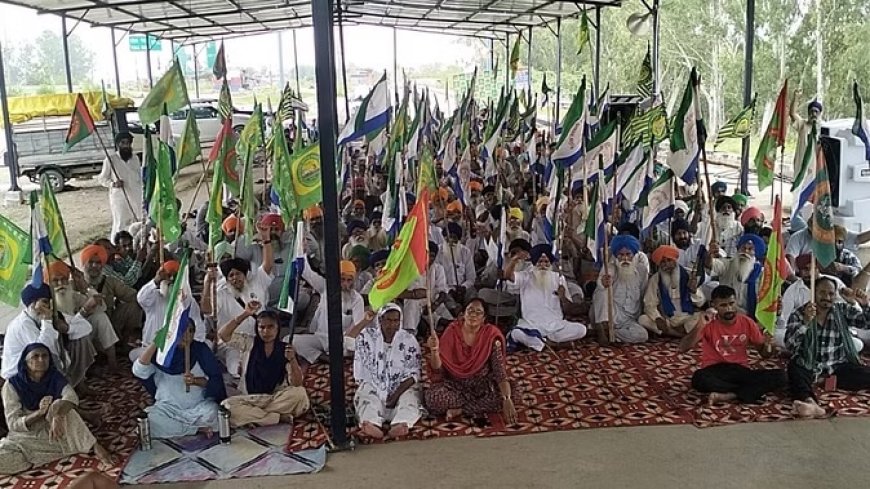 हाईकोर्ट का बड़ा आदेश: एक हफ्ते में शंभू बॉर्डर खुलवाए हरियाणा सरकार... फैसले पर किसान बोले-अब जाएंगे दिल्ली
