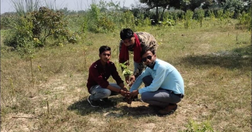 बाबा की जयंती पर पोता ने किया पौधरोपण