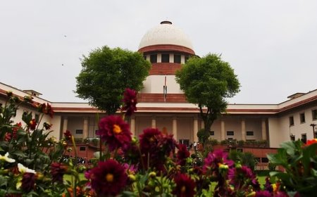 40 साल की महिला से दुष्कर्म मामले में 23 साल के इन्फ्लुएंसर को जमानत, कोर्ट ने दिया यह तर्क