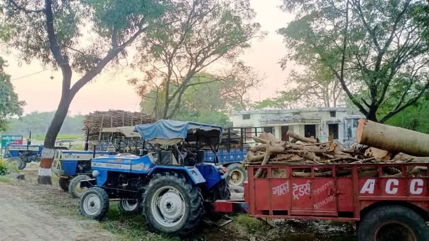 अवैध कटान के विरूद्ध वन विभाग की छापेमारी, मय लकड़ी 2 ट्रैक्टर ट्राली सीज, पांच अभियुक्तों पर मामला दर्ज
