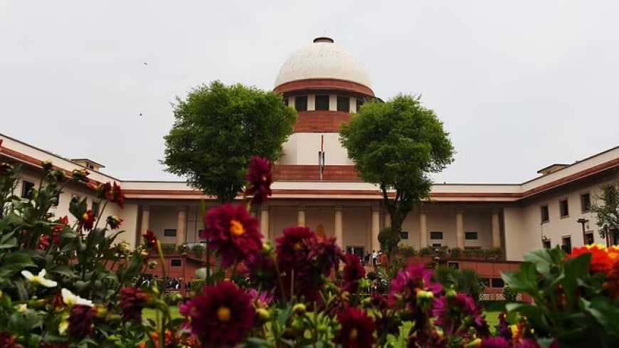 40 साल की महिला से दुष्कर्म मामले में 23 साल के इन्फ्लुएंसर को जमानत, कोर्ट ने दिया यह तर्क