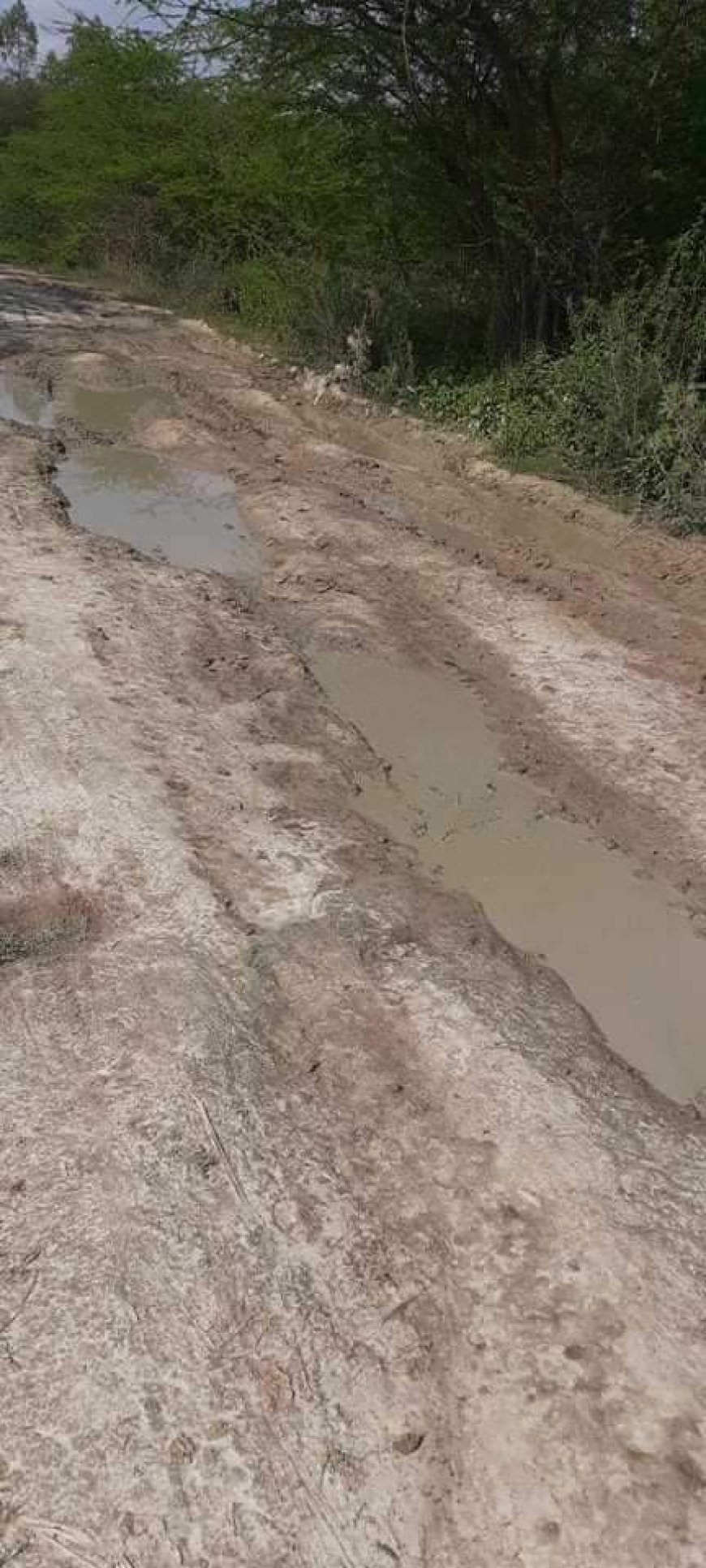 कोरिहाना से ग्राम कमालपुर संपर्क मार्ग कई दशकों से निर्माण की जोह रही बाट