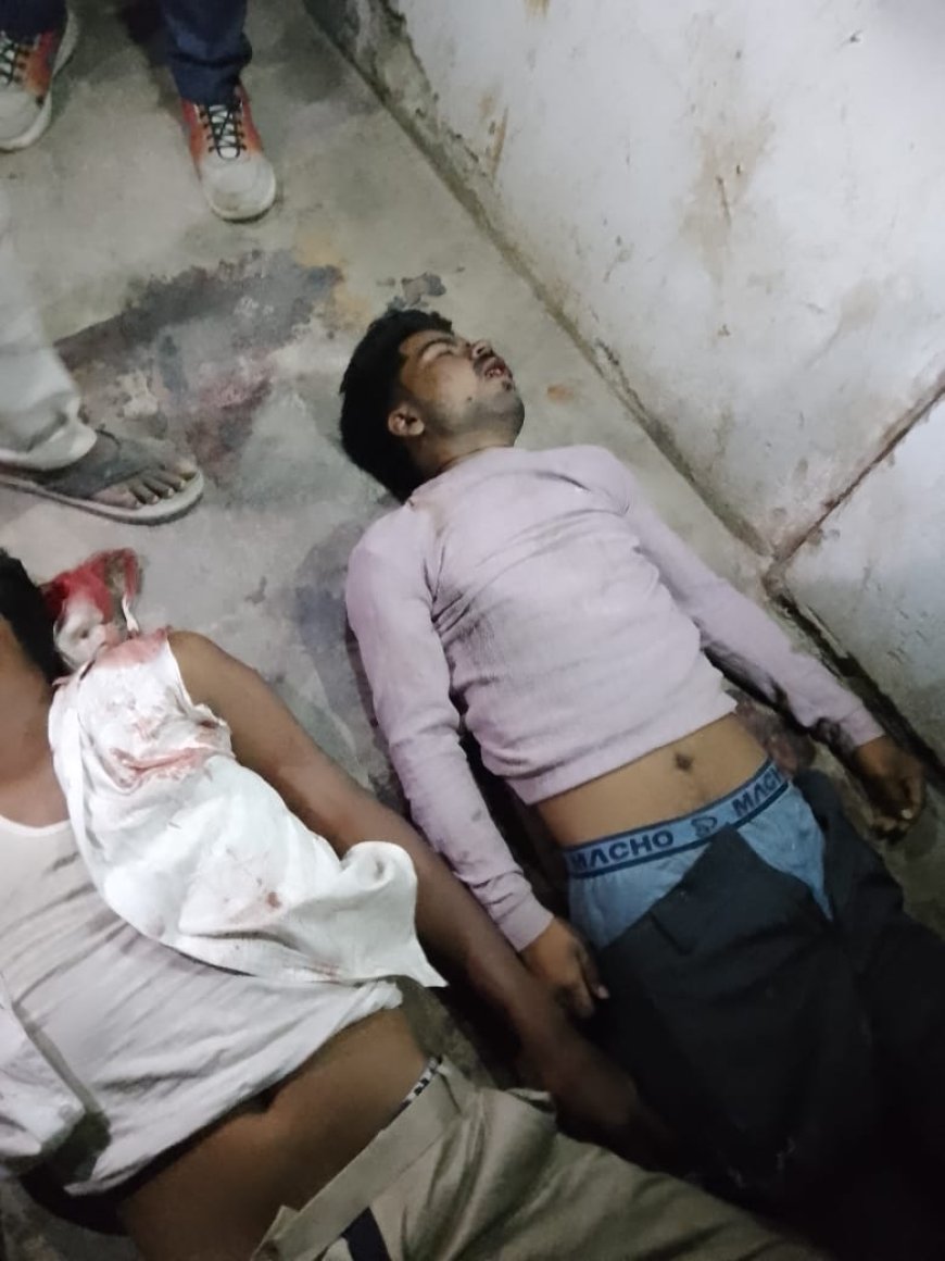 सड़क पर डीसीएम चालक ने लगाई अचानक ब्रेक, पीछे से घुसी बाइक, दो युवकों की मृत्यु
