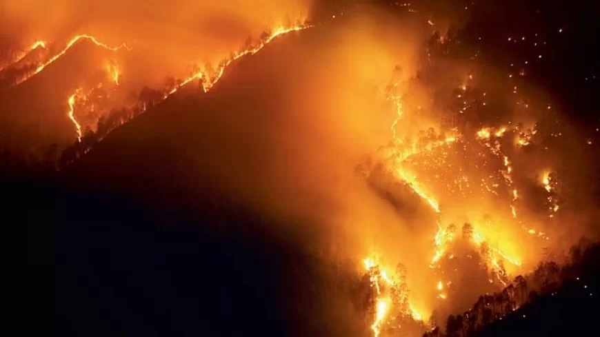 दक्षिणी क्षेत्रों के जंगलों में लगी भीषण आग; 24 लोगों की मौत, 19 घायल और 27000 बचाए
