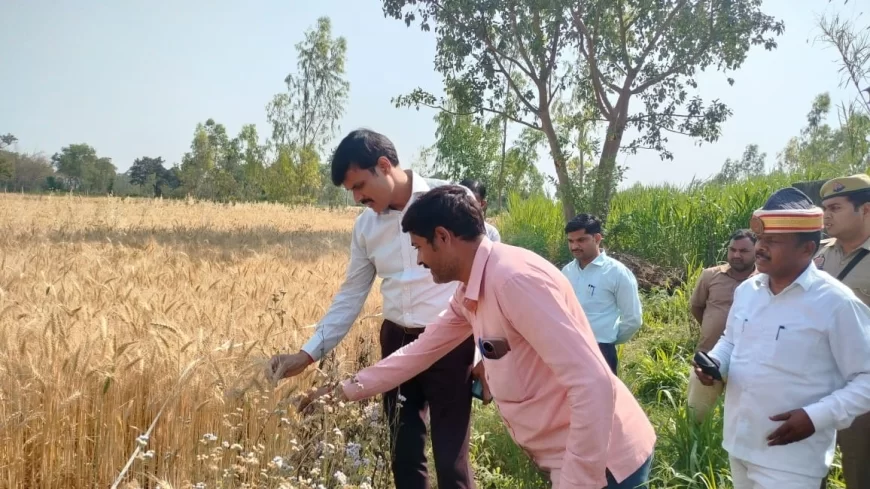 जिलाधिकारी ने देखा क्रॉप कटिंग का कार्य