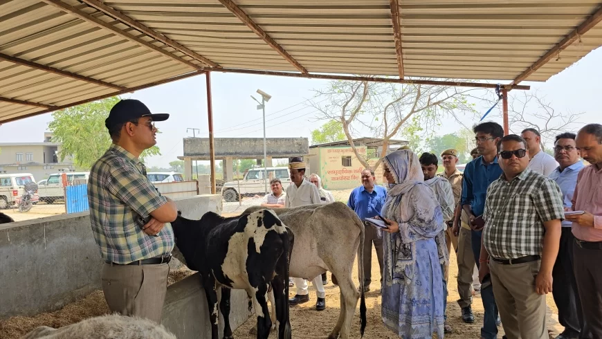 जिलाधिकारी ने किया गौशालाओं का निरीक्षण गर्मी लू से बचाव के दिए निर्देश
