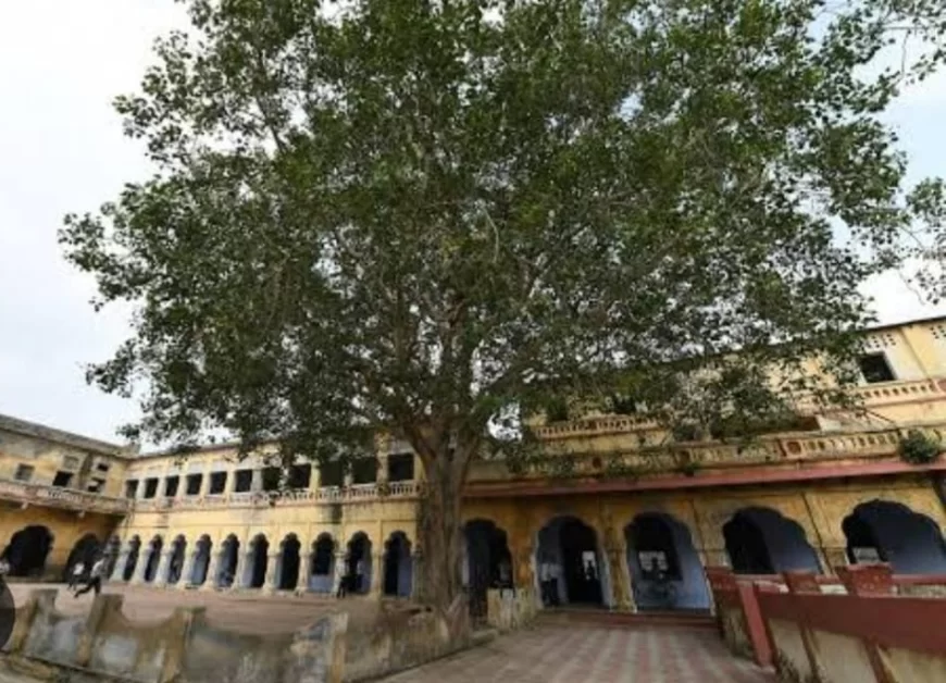 कभी मथुरा जिलाधिकारी महोदय गौर फरमाएं, जिला विद्यालय निरीक्षक मथुरा पर नहीं संभल रहा विभाग