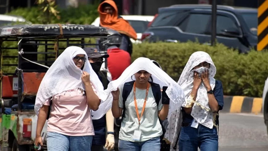 गर्मी और बढ़ेगी... 12 राज्यों में 5 डिग्री बढ़ेगा तापमान; बचाव के लिए केंद्र ने राज्यों को अलर्ट किया