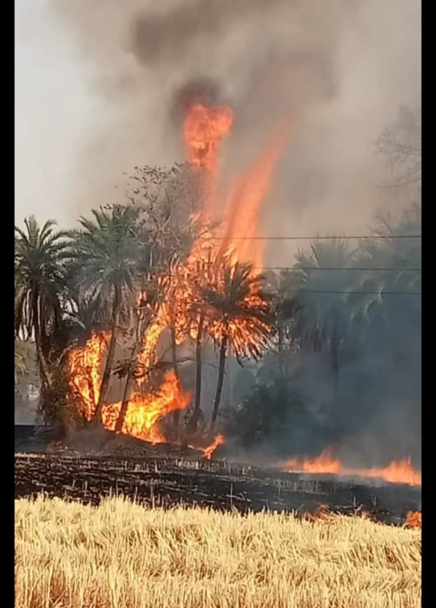 जिले के 28 गांव में लगी आग, नपा ने 15 स्थानों पर फायर गाड़ी भेजकर आग पर काबू पाया