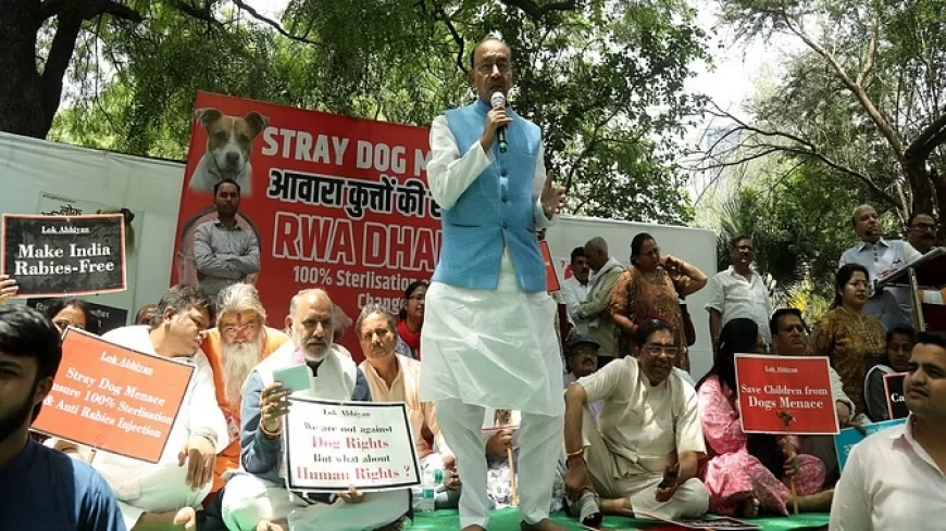 लावारिस कुत्तों से परेशान आरडब्ल्यूए-एनजीओ का जंतर-मंतर पर धरना, विजय गोयल ने संभाला पीड़ितों का मोर्चा