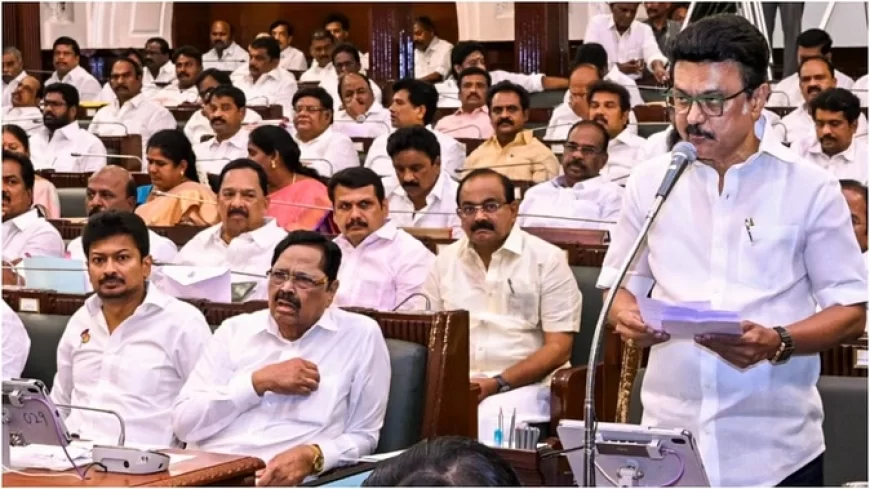 डीएमके ने शुरू की विधानसभा चुनाव 2026 की तैयारी, सीएम एमके स्टालिन बोले- वर्जन 2.0 लोड हो रहा है