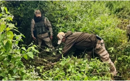 सुरक्षाबलों ने गिरफ्तार किए नौ उग्रवादी, हथियार और संचार उपकरण बरामद