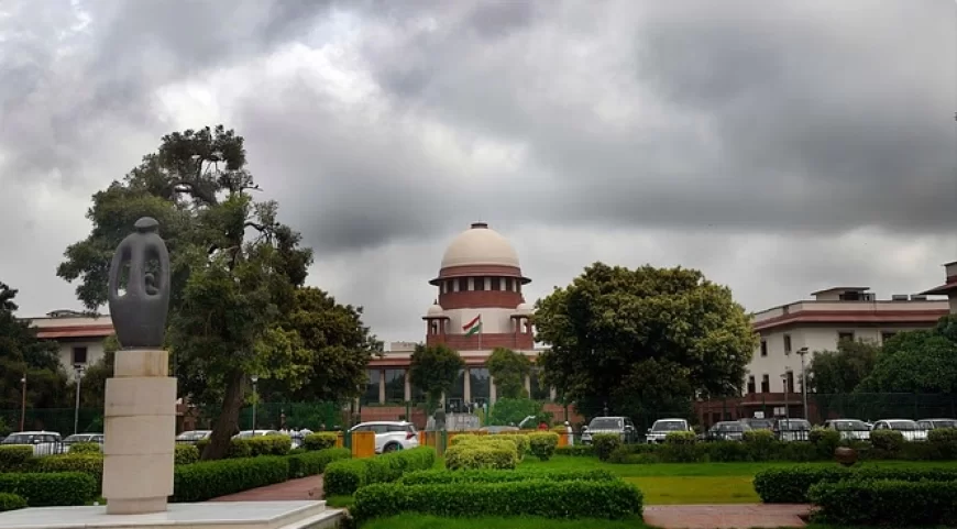 'विशेष कानूनों के मामलों की त्वरित सुनवाई के लिए स्थापित करनी होंगी अदालतें' सुप्रीम कोर्ट का निर्देश