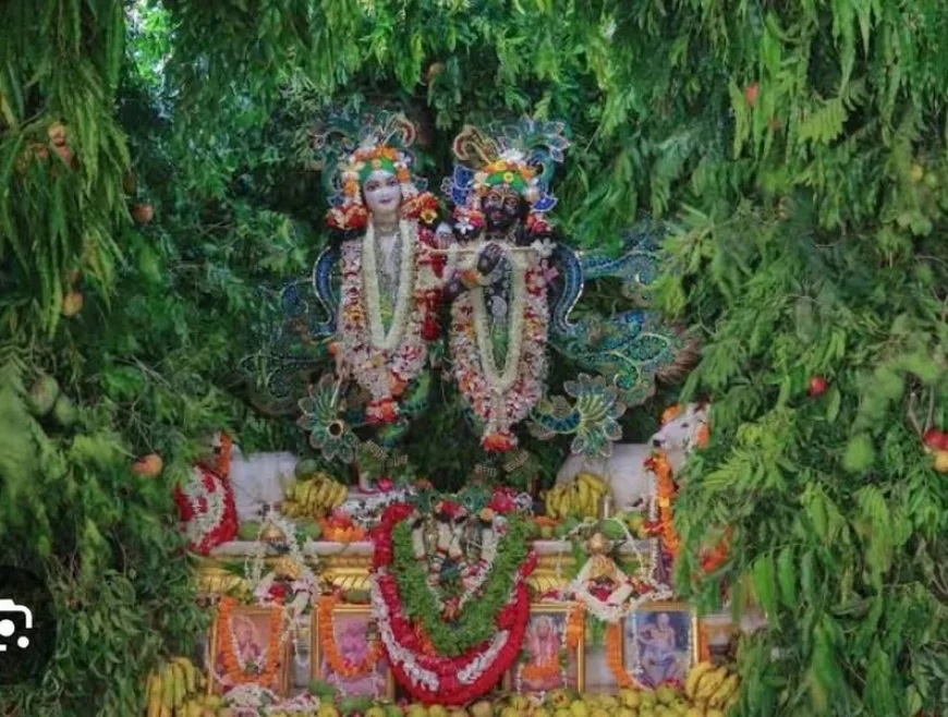 विकास नहीं, संरक्षण चाहिए ब्रज को: वृन्दावन कोरिडोर के नाम पर सांस्कृतिक विरासत का विनाश