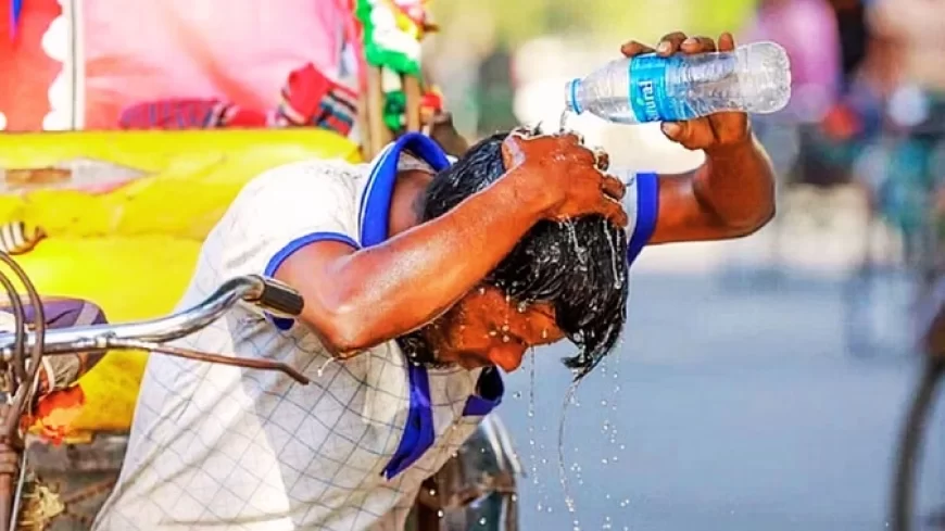 उमस भरी गर्मी और लू बन रही जानलेवा, वैज्ञानिकों की चेतावनी- जलवायु परिवर्तन से हालात और गंभीर