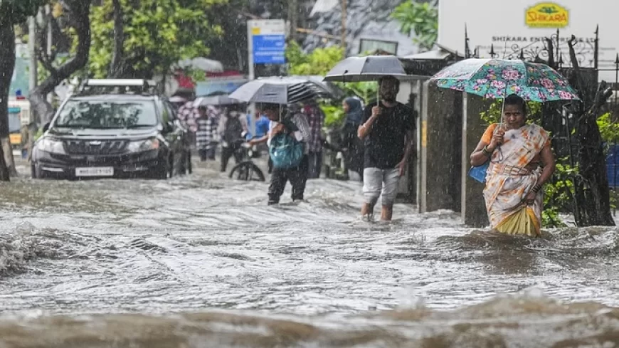 छत्तीसगढ़-ओडिशा के साथ 17 राज्यों में मानसून की धमक, कई राज्यों में झमाझम बारिश