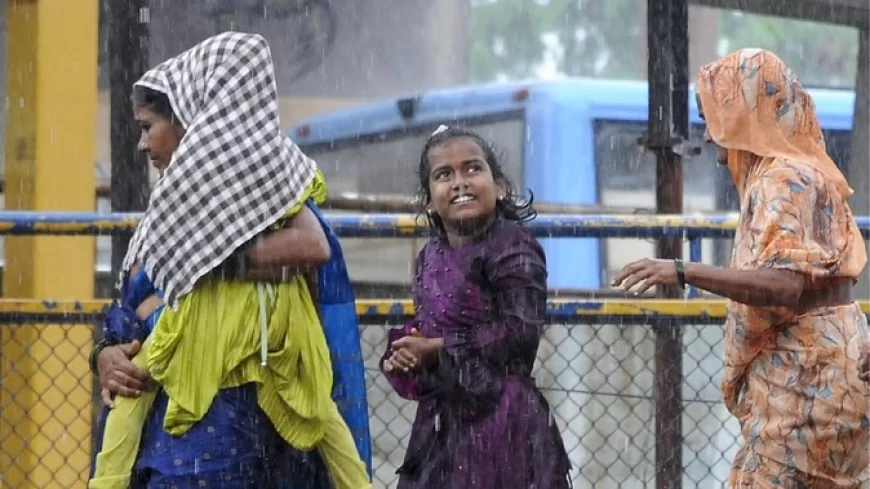 दिल्ली-एनसीआर और पंजाब समेत कई राज्यों में बारिश का अनुमान, आंधी-बारिश का येलो अलर्ट जारी