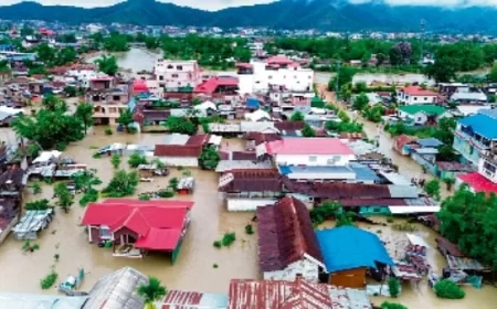 IMD ने मानसून पर दिया बड़ा अपडेट, 5 जून तक बारिश की चेतावनी; पूर्वोत्तर से दक्षिण भारत तक प्रभावित