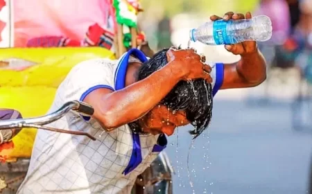 दुनिया का कोई भी हिस्सा भीषण गर्मी से नहीं बचा, भारतीयों ने झेले 20 दिन ज्यादा जानलेवा तापमान