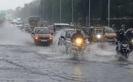 महाराष्ट्र के कई हिस्सों में भारी बारिश से आठ की मौत, रत्नागिरी और रायगढ़ के लिए रेड अलर्ट जारी