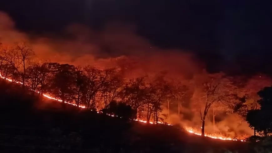 कनाडा में जंगल की आग का कहर, 25,000 से अधिक लोग सुरक्षित जगहों पर भेजे गए; सूखा मौसम बना चुनौती