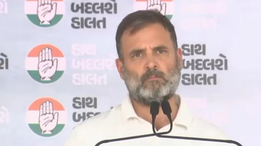 राहुल गांधी आज आएंगे चंडीगढ़, चार घंटे में बनाएंगे हरियाणा कांग्रेस के संगठन विस्तार का रोडमैप