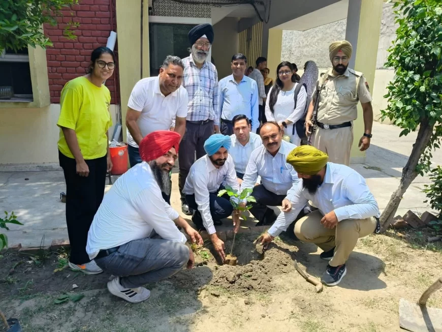 बरसात के मौसम में जिले में अधिक से अधिक पौधे लगाए - खुशप्रीत सिंह, घरों, पार्कों और ट्यूबवेलों पर पौधे लगाने का आह्वान
