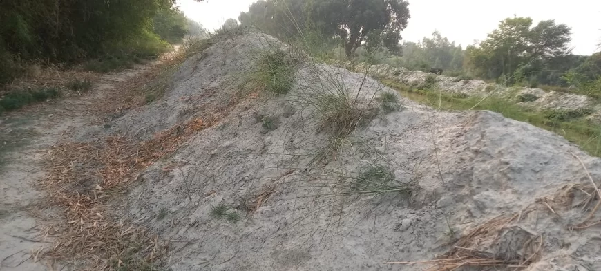 नहर विभाग द्वारा नहर पटरी पर बालू निकाल कर मार्ग अवरुद्ध करने पर पीड़ितों ने लिखा जिलाधिकारी को पत्र