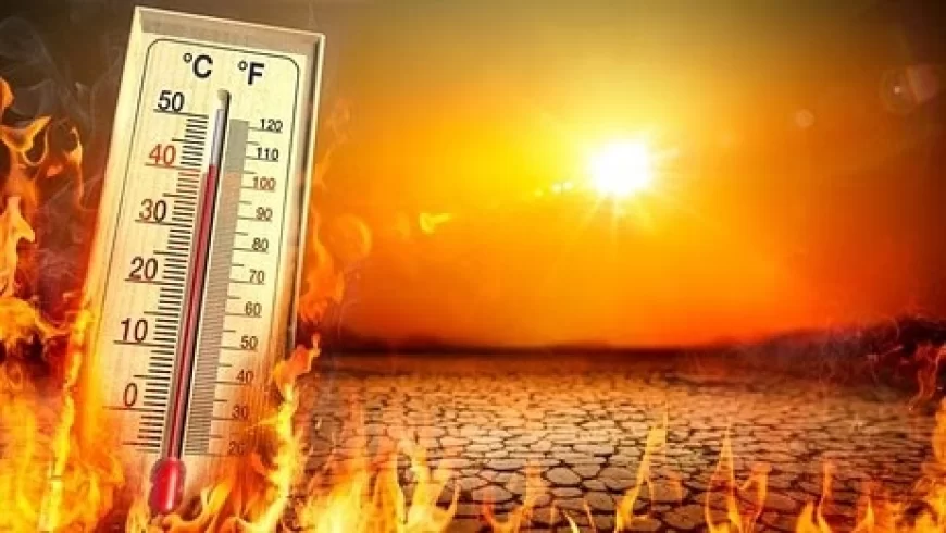 प्रचंड गर्मी का सितम: उत्तर पश्चिम, मध्य और पूर्वी भारत में अभी चार दिन राहत नहीं; कई राज्यों में अलर्ट जारी