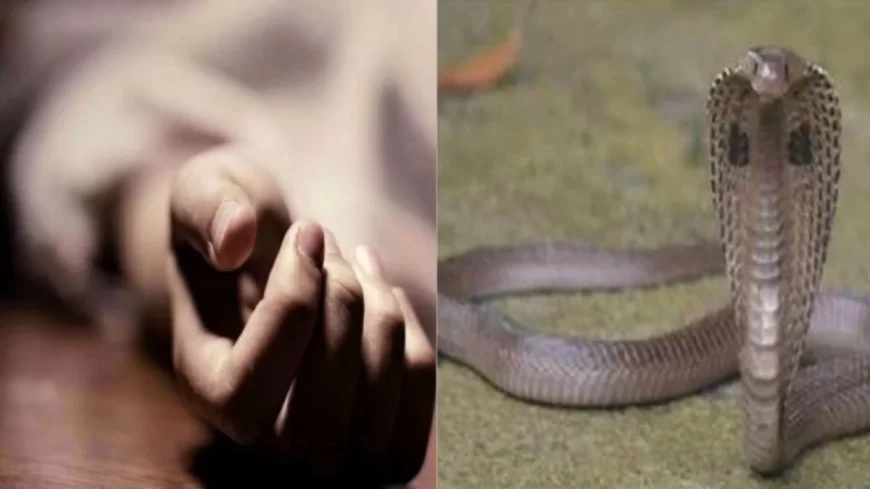 खेत में काम कर रही महिला को सांप ने काटा