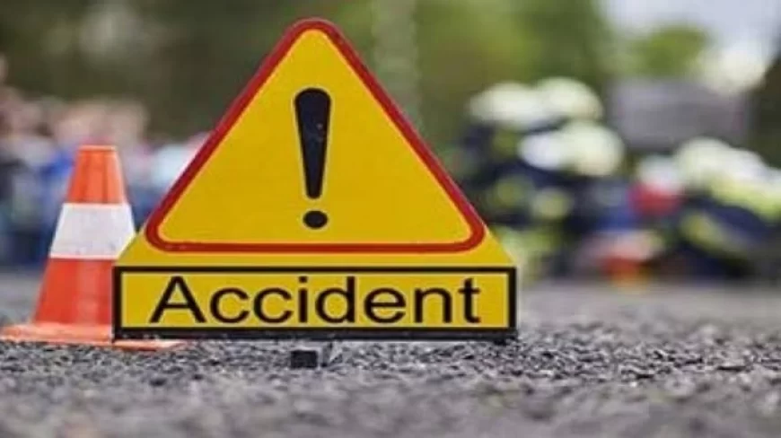 बदरीनाथ से लौट रही बस अणीमठ के पास पलटी, 11 तीर्थयात्री घायल; तीन की हालत गंभीर