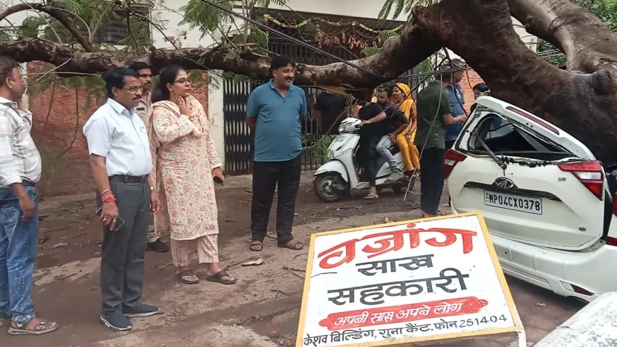 तेज आंधी से गिरे पेड़ों को हटाकर किया गया राहत कार्य, प्रभारी सीएमओ द्वारा कई स्थानों का किया गया निरीक्षण