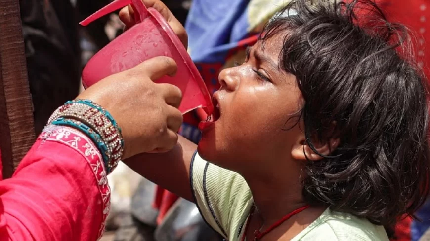 हिमालयी इलाकों में लू कहर, दिल्ली-NCR में उमस भरी गर्मी; पूर्वोत्तर में बारिश की मार