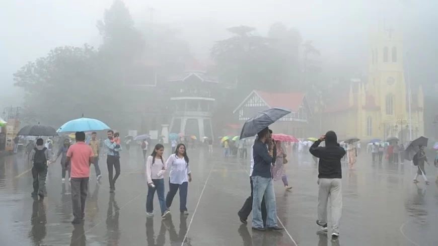 शिमला में झमाझम बारिश, 21 से 23 जून के बीच हिमाचल पहुंचेगा मानसून